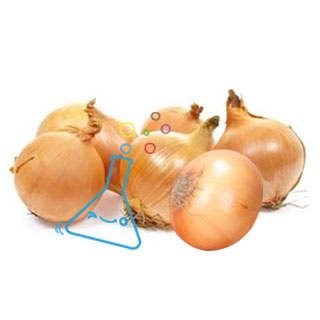 양파/6개입