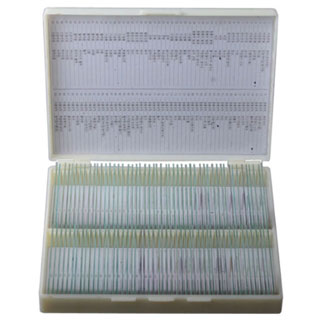 영구프레파라트세트/동식물종합세트A형100매