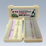 영구프레파라트S형/동물편50종