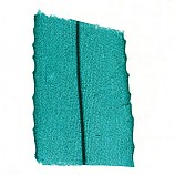 검정말잎세포영구표본/영구프레파라트Carolina 1장