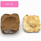 조개화석만들기(2인용)/아이스크림