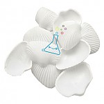 PVC흰색조개모형/조개껍데기/10개입