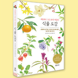 세밀화로그린보리어린이식물도감/보급판