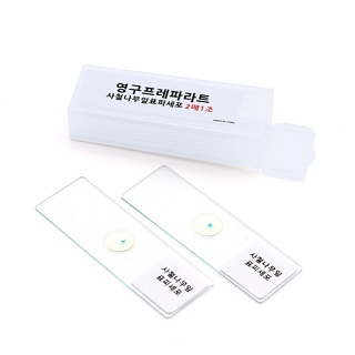 사철나무표피프레파라트영구표본/2개1조