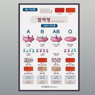 혈액형판넬/액자
