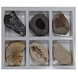 초등화석6종/아이스크림