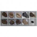 초등화석10종/미래엔